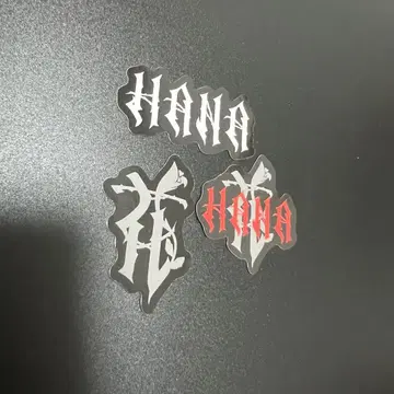 HANA hana 데뷔 직전 스티커