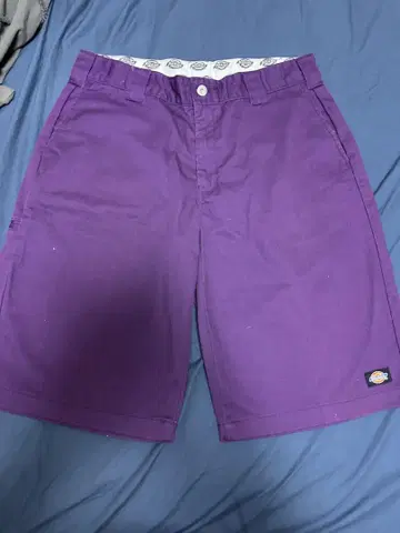 Dickies 하프 팬츠 34 보라색