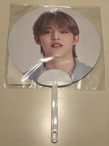 SEVENTEEN HANABI 에스크 미니 부채
