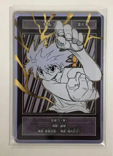 HUNTER x HUNTER 스탯 카드 스테카 키루아
