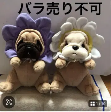 퍼그견 봉제 인형 2개 세트 중고품 낱개 판매 불가