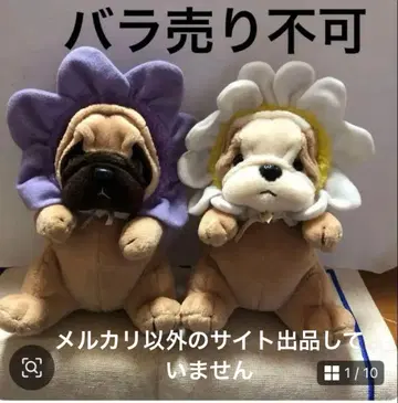 퍼그견 봉제 인형 2개 세트 중고품 낱개 판매 불가