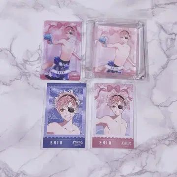 츠키나미 신 아크릴 블록 폴라풍 라메 카드 클리어 카드 디어러버