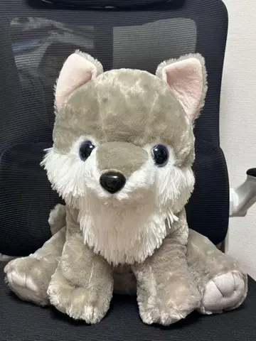 늑대 봉제 인형