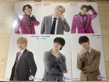 EBiDAN museum 입장 혜택 초특급 스파드라