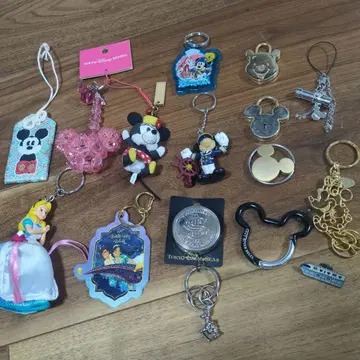 도쿄 디즈니 리조트 캐릭터 키링 세트