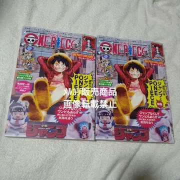 ONE PIECE magazine vol.20 2권 부록 루피 카드