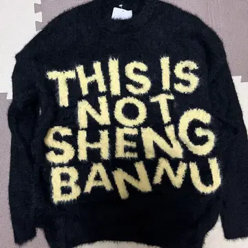 THIS IS NOT SHENG BAN NU 니트