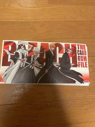 BLEACH 카드 파일