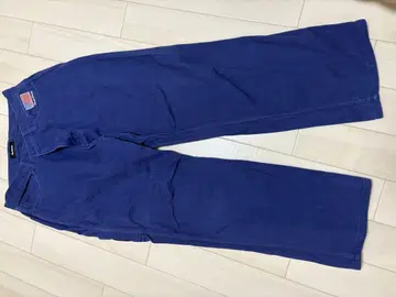 XLARGE 파랑 팬츠 사이즈 34