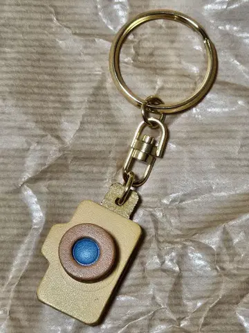 HERZ 헤르츠 키링 카메라 은행나무