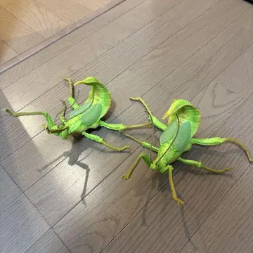 사카다치코노하 나나후시 2체 세트 제일복권 B상