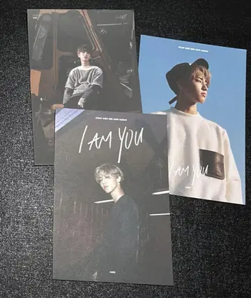 Stray Kids 스키즈 I am YOU 엽서 한 지성