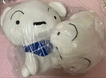 2세트