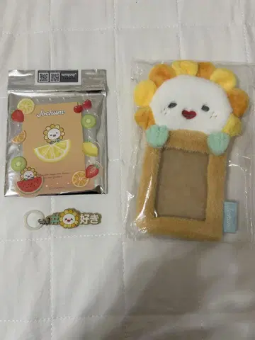 JOCHUM Bira 트레이딩 카드 케이스 경질 카드 케이스 가챠가챠