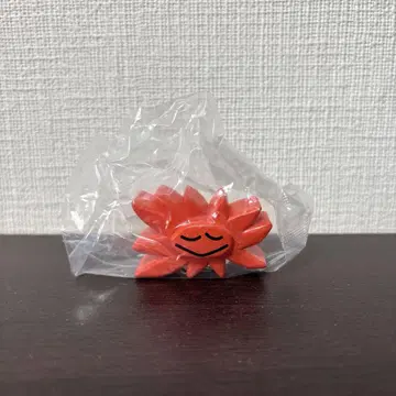 다이스케 콘도 태양