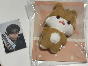 ATEEZ ANITEEZ 플랫 퍼 봉제 인형 홍중 트레이딩 카드 포함