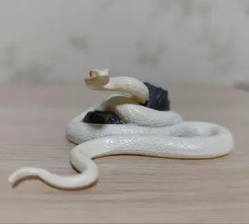 주간 일본의 천연기념물 흰뱀