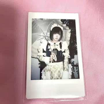집사와 메이드 랜덤 폴라로이드 런체키 고양이 고양이 고양이 하우 하우키