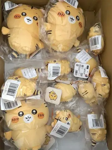 나가노의 호랑이 복권 나가노 복권 CD상