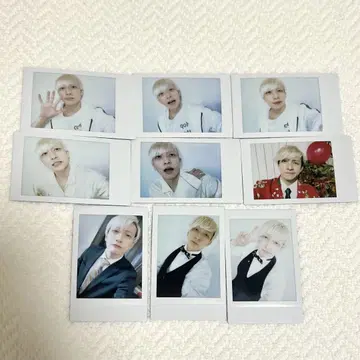 팬더드래곤 요우타 폴라로이드