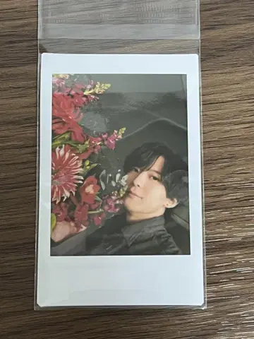 사카타 쇼고 폴라로이드 여기를 캠핑지로 삼는다!