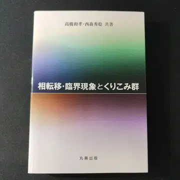 상전이 임계 현상과 재규격화군