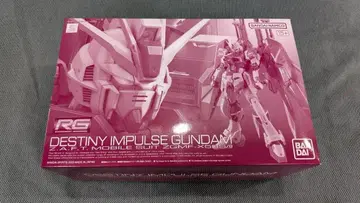 RG 1/144 데스티니 임펄스 건담