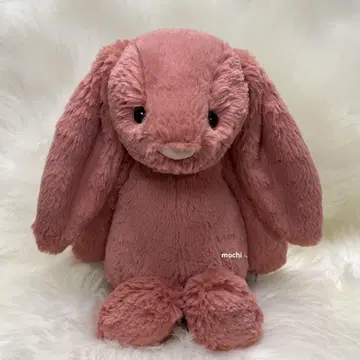 jellycat Medium Bashful Sorrel Bunny 토끼