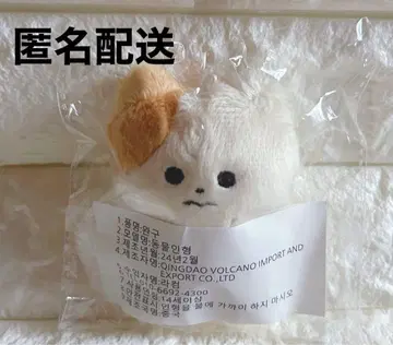윤사나 봉제 인형 마스터