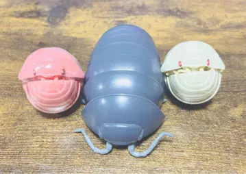 생물대도감 공벌레