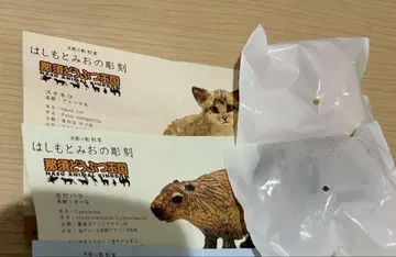 하시모토 미오 조각 나스 동물 왕국 사막여우 카피바라