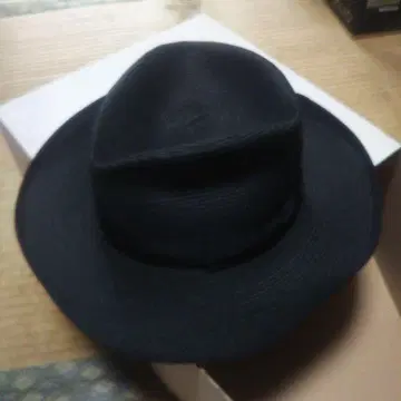 Raleigh 햇 래리 락 펑크