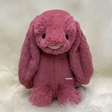 jellycat Medium Bashful Cerise Bunny 토끼