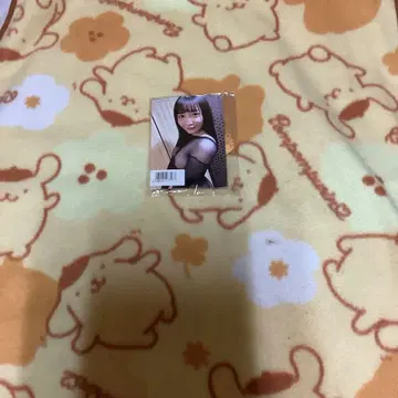시이나 코하루 수량 한정판 DVD 구매 혜택 사진 포함 미개봉품