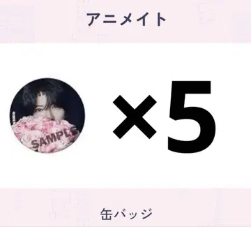 [ 5개 세트 ] 사토미 S's 애니메이트 특전 캔뱃지