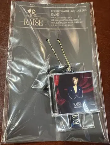 코이치 도모토 RAISE CD 참 당본광일 DOMOTO