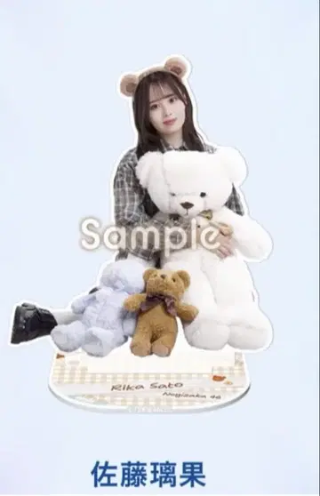 사토 리카 A상 Teddy Dream