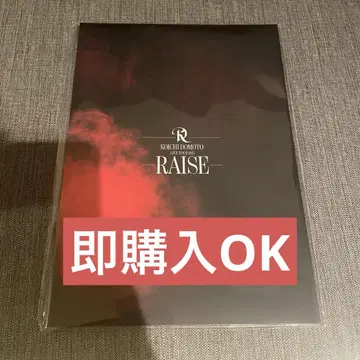즉시 구매 OK 미개봉 새상품 도모토 코이치 RAISE 팜플렛