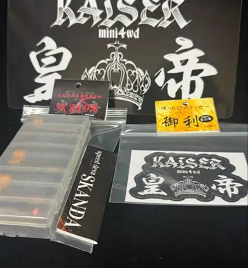 KAISER 감사제 SKANDA 네오챔프 8권