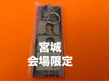 치바 에리 AKB48 TOUR PARTY 메시지 키링 미야기 한정판