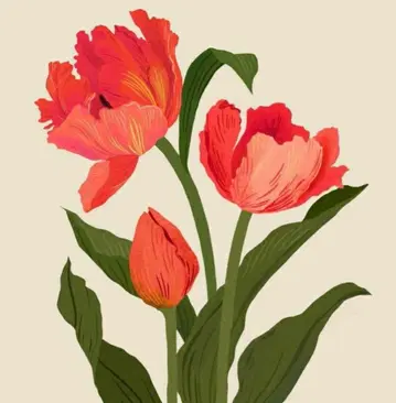 C.T.Plage 플라주 캐시미어 라쿤 니트 원피스 포켓 부착