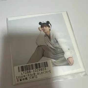 BOKUNCHI 스크래치 정사각형 사진 시가 리쿠