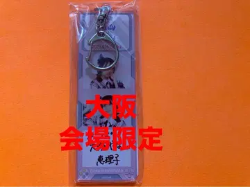 하시모토 에리코 AKB48 TOUR PARTY 메시지 키링 오사카 한정판
