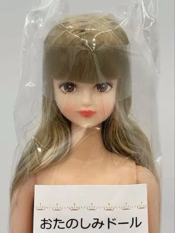 시온 리카짱 캐슬 오타노시미 인형 블론드 제니 프렌드