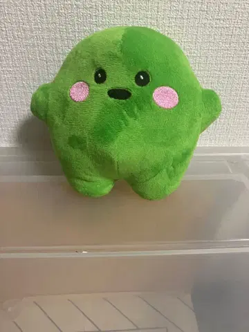 만박 서큘러짱 그린 대
