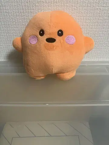 만박 서큘러짱 오렌지 대