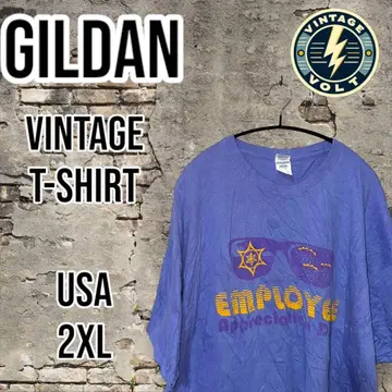 Vintage GILDAN T-shirt 2XL USA