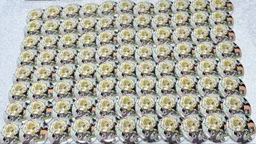 히프노시스 마이크 이자나미 히후미 피타데포메