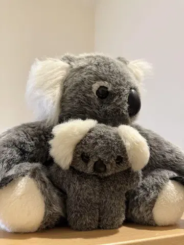 코알라 봉제 인형 대소 세트